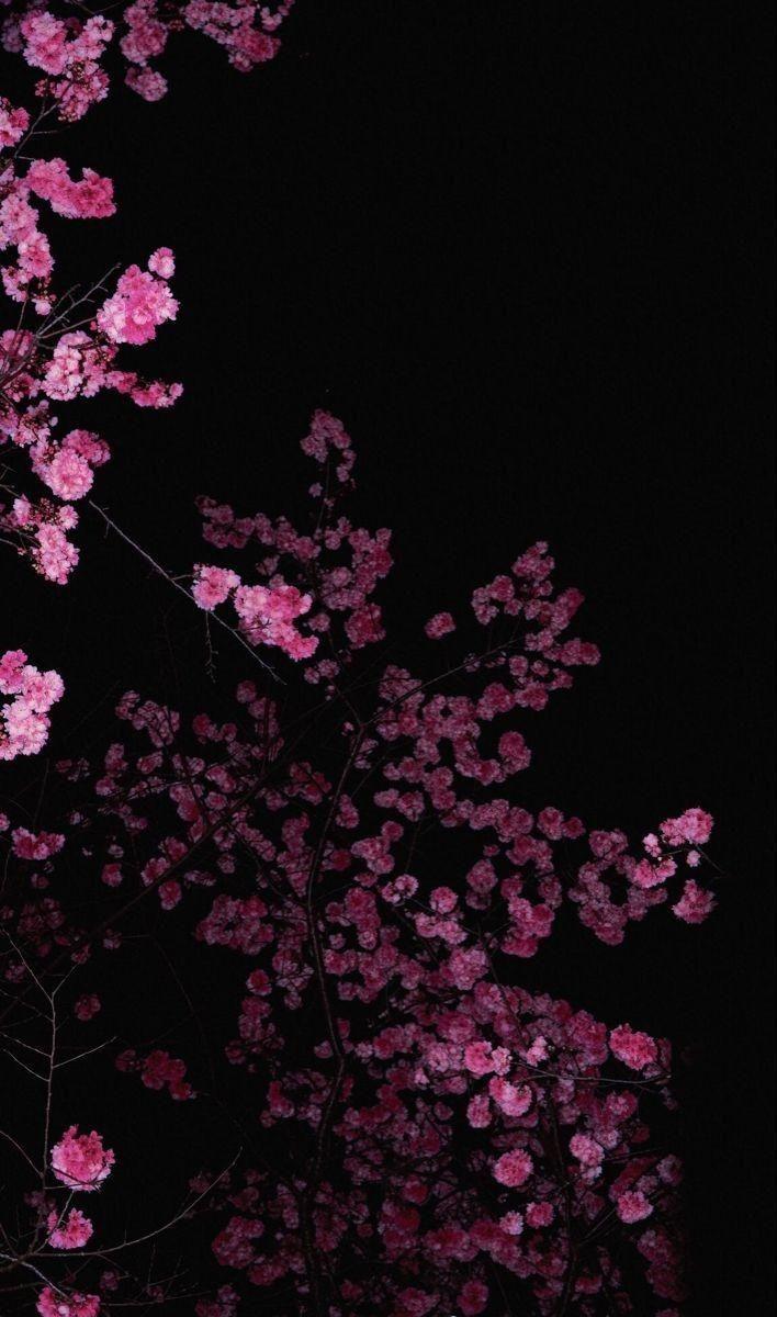 Velvet Petal Waltz in Burgundy